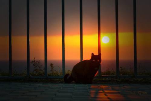 Гостиница Tatyana on Lenina 28 Анапа-24